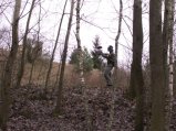 img009.jpeg.small.jpeg