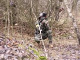 img013.jpeg.small.jpeg