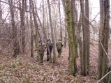 img047.jpeg.small.jpeg