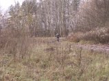 img055.jpeg.small.jpeg