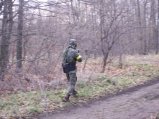 img100.jpeg.small.jpeg