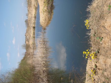 img060.jpeg.medium.jpeg