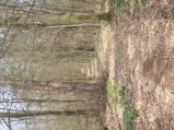 img087.jpeg.small.jpeg
