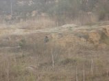 img134.jpeg.small.jpeg
