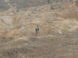 img135.jpeg.small.jpeg