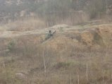 img139.jpeg.small.jpeg
