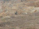 img140.jpeg.small.jpeg