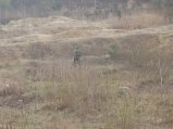 img147.jpeg.small.jpeg