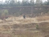 img154.jpeg.small.jpeg