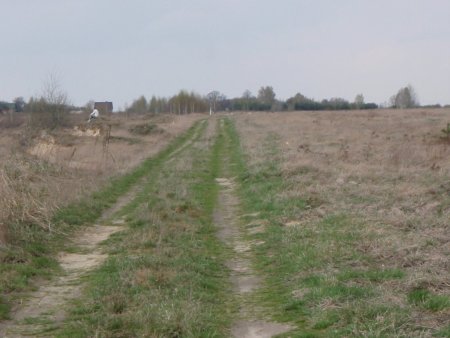 img157.jpeg.medium.jpeg