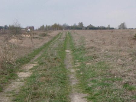 img158.jpeg.medium.jpeg