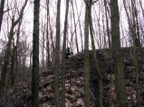img031.jpeg.small.jpeg