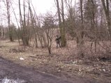 img032.jpeg.small.jpeg