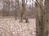 img033.jpeg.small.jpeg