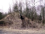 img042.jpeg.small.jpeg