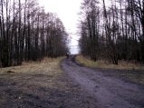 img052.jpeg.small.jpeg