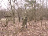img134.jpeg.small.jpeg