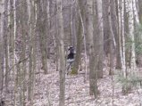img145.jpeg.small.jpeg